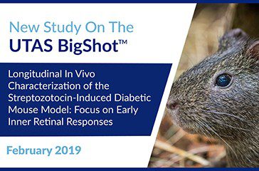 ok-Longitudinal-In-Vivo-Characterization-of-the-Streptozotocin-Induced-Diabetic-Mouse-Model-Focus-on-Early-Inner-Retinal-Responses