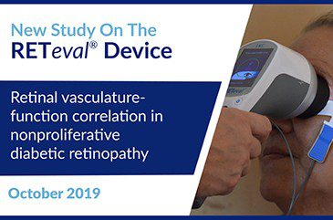 Retinal Vasculature-function