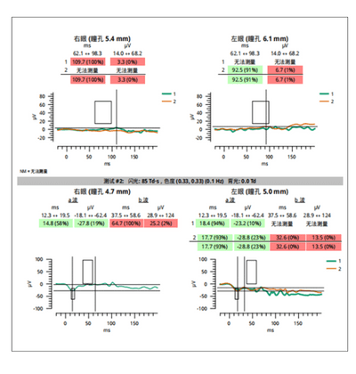 RETeval Report Chinese