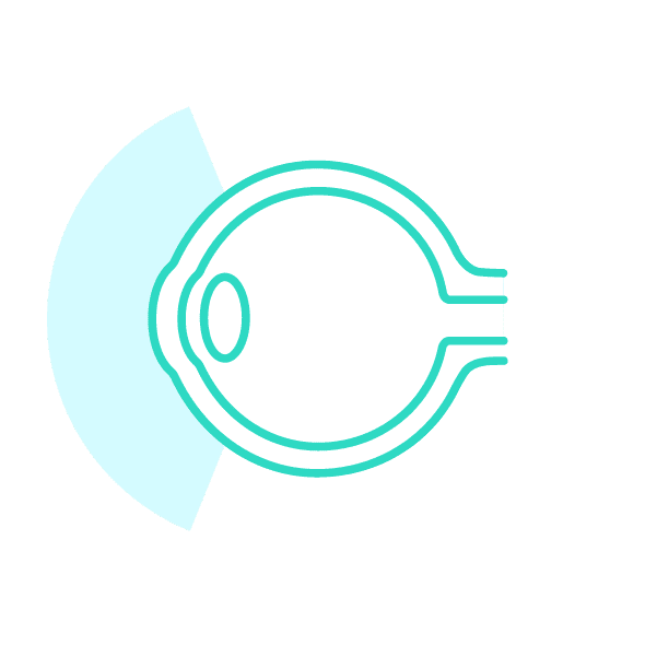 LKC-IconFull-Field-ERG